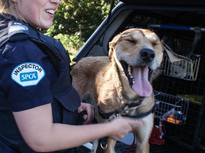 SPCA Inspector with happy dog