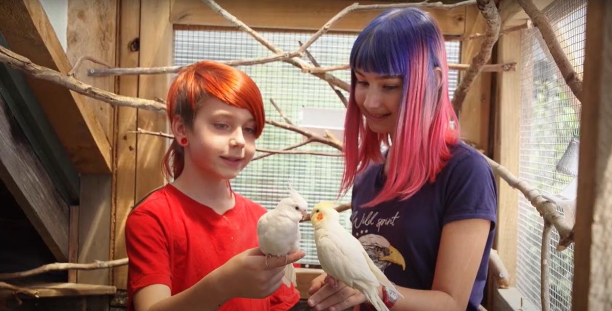 New animal care videos empower Kiwi kids 