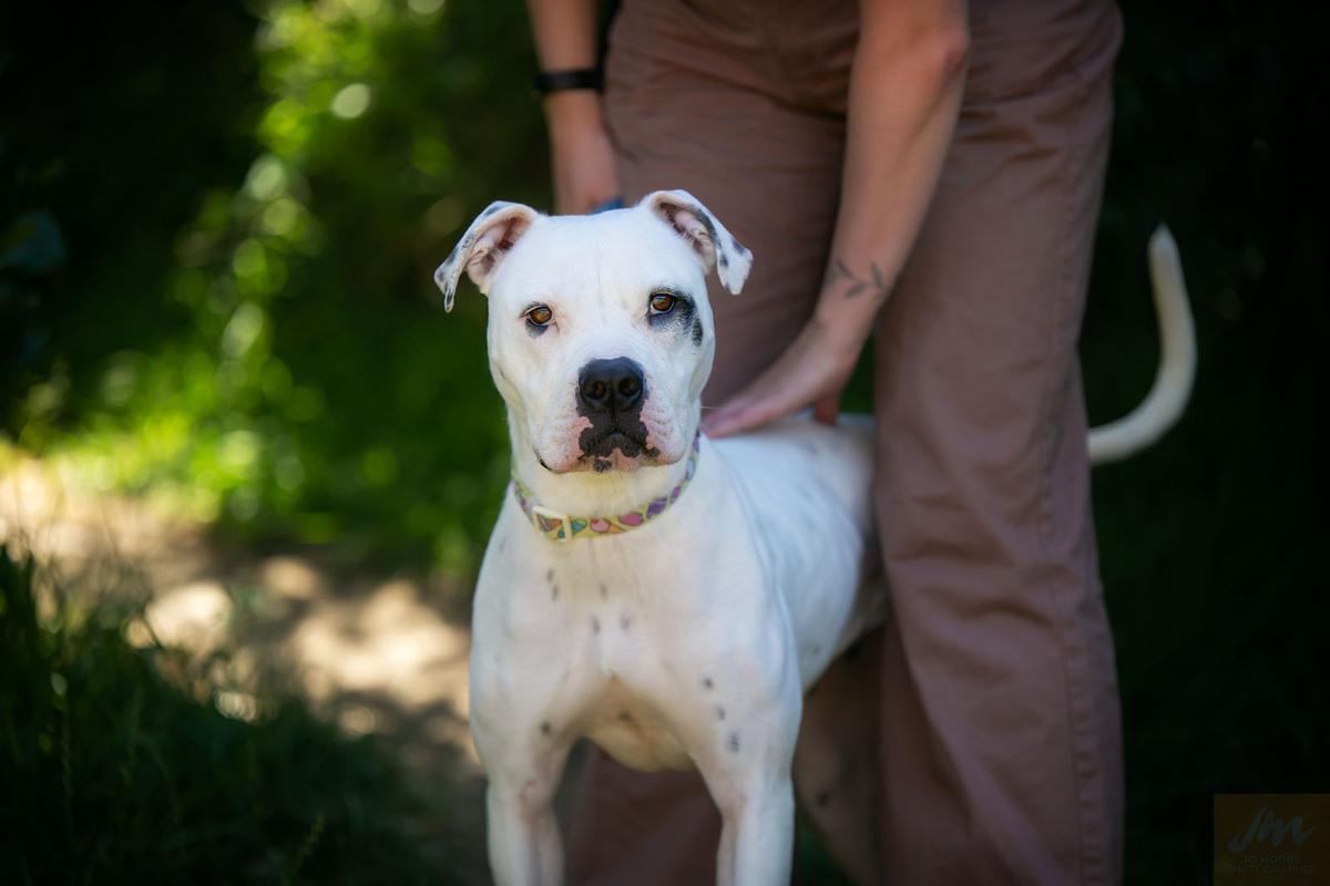 Gallery: Animal Welfare Act