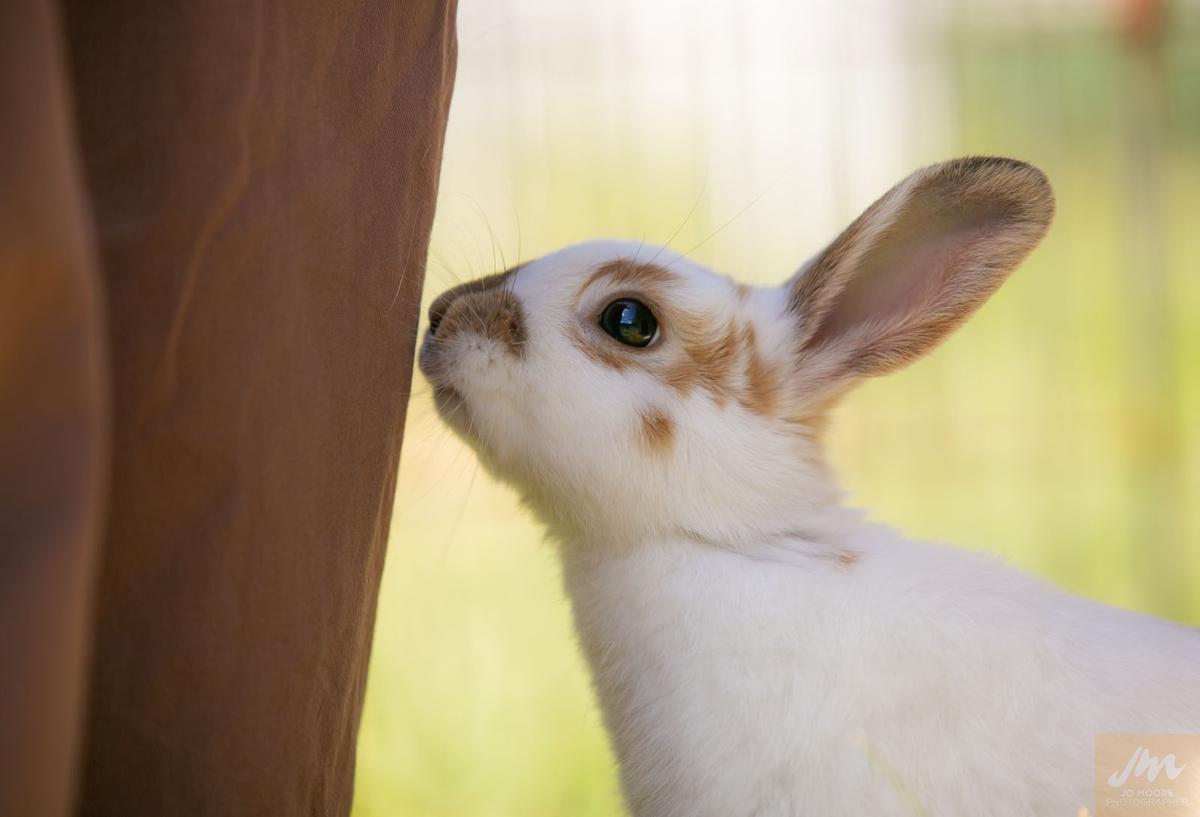 Gallery: Seek Justice