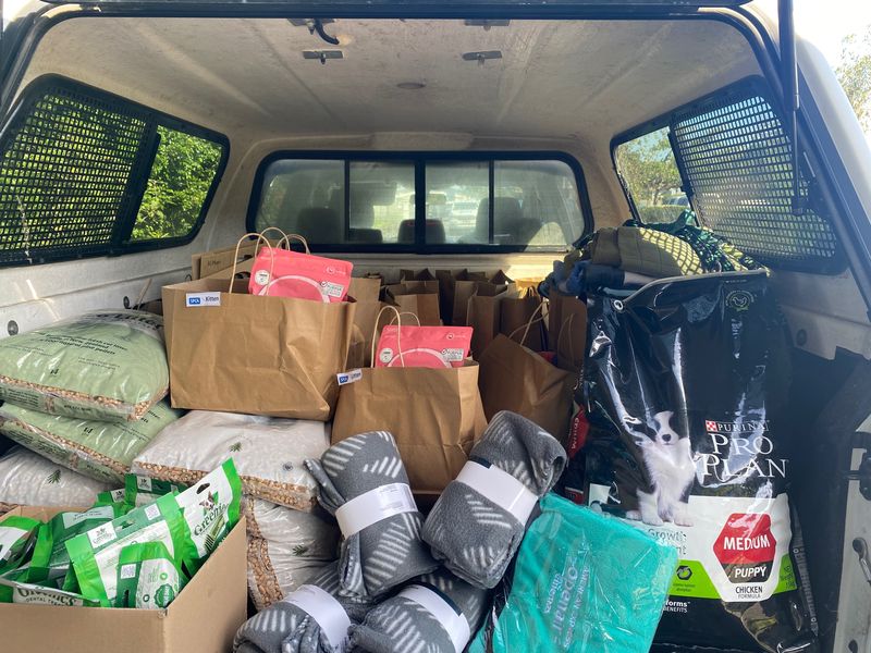 SPCA delivers emergency care in Auckland after the floods