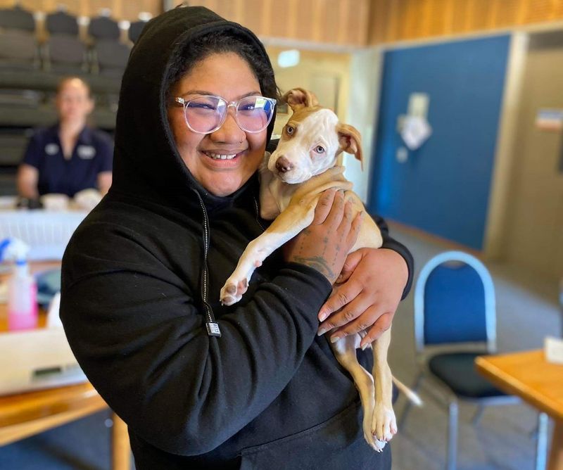 SPCA delivers emergency care in Auckland after the floods