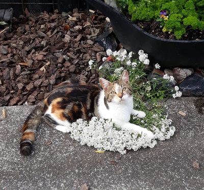 Success Story: Cassie