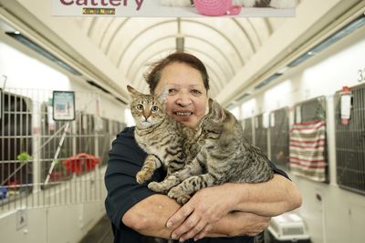 Faces of SPCA Rescue: meet Feline Attendant Colleen