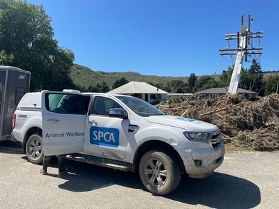 SPCA's care for animals in recent weather disasters