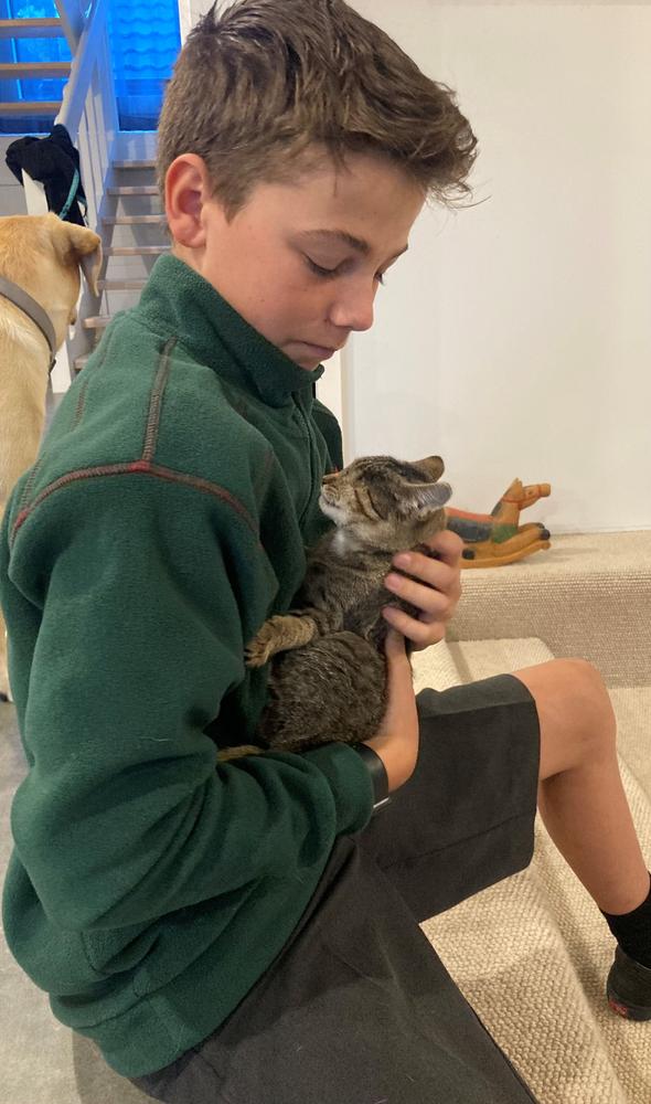 Chance in her loving forever home