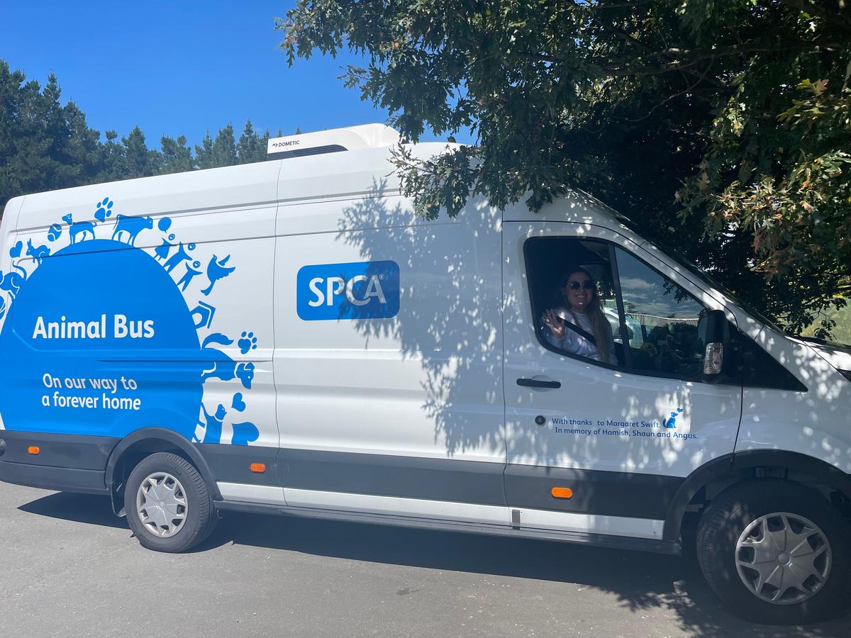 Animal transfer tales: getting them where they need to be