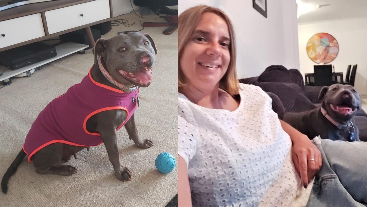 Bluebell, now named Isabella, has found happiness with her new family.