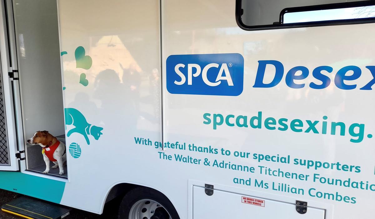 Our brand new SPCA Mobile Desexing Clinic is hitting the road in Northland - here's everything you need to know.  