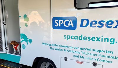 Our brand new SPCA Mobile Desexing Clinic is hitting the road in Northland - here's everything you need to know.  