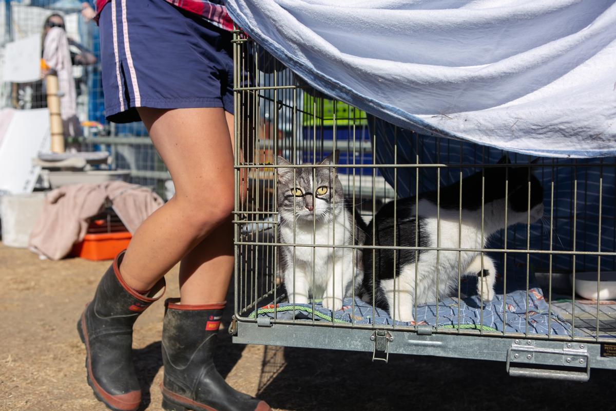 Are you disaster prepared?