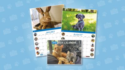 Congratulations to our SPCA Pets of the Year! 