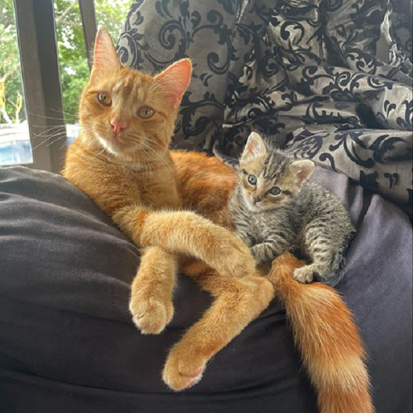 Deli Department and Hurricane Pooty