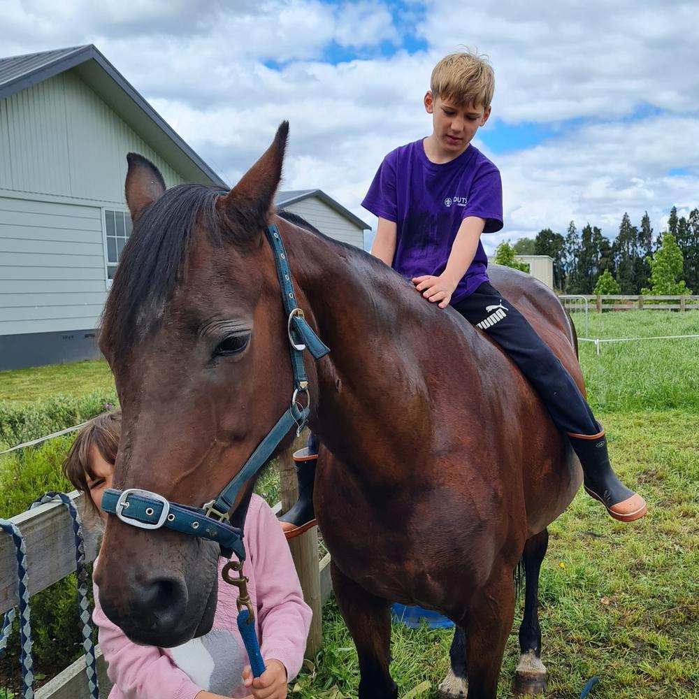 Sugar is an adored family pony and loves being ridden.