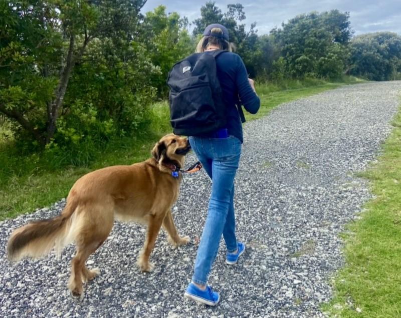 If you need to evacuate, make sure you take your pets with you.