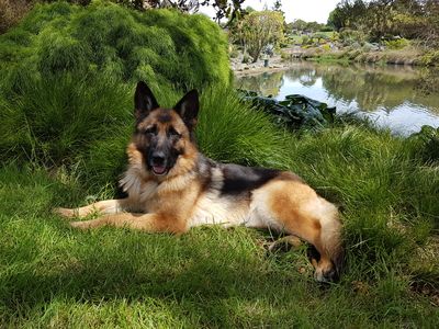 Success Story: Carla