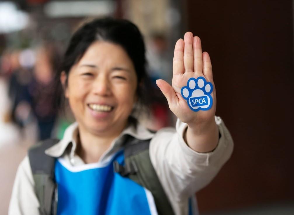 SPCA’s new Fundraising Hub makes helping animals easier than ever