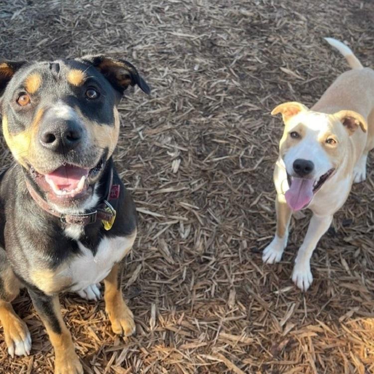 Cookie with her best friend and big brother Nigel