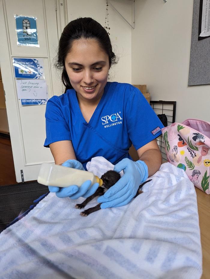 Our team received hands-on training to learn how to bottle-feed the Berries.
