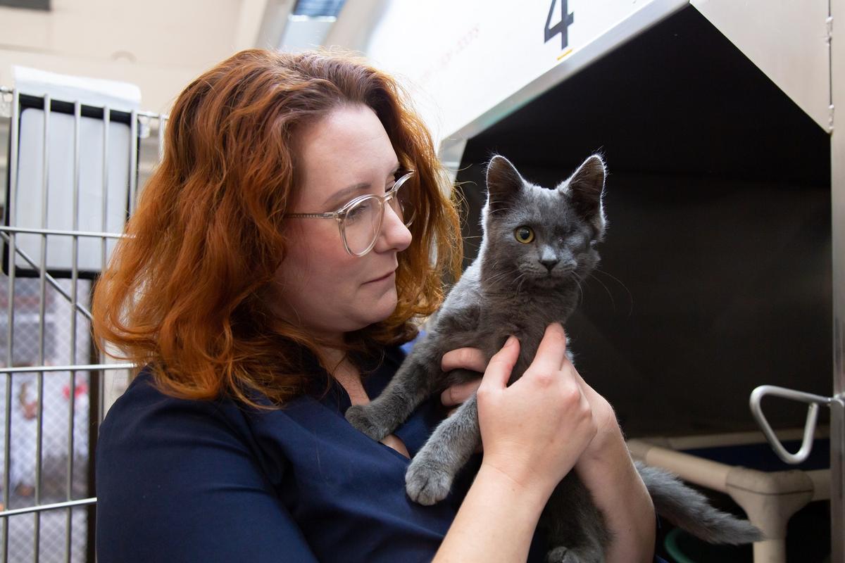 SPCA team member holds one-eyed kitten
