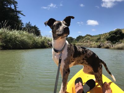 Success Story: Hessie