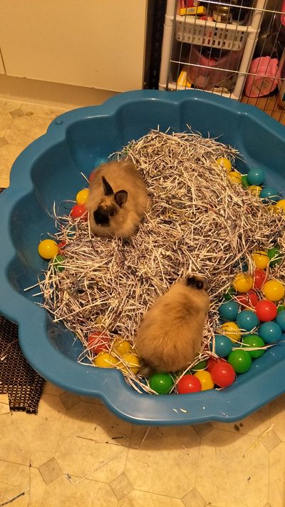 Success Story: Minty and Sage