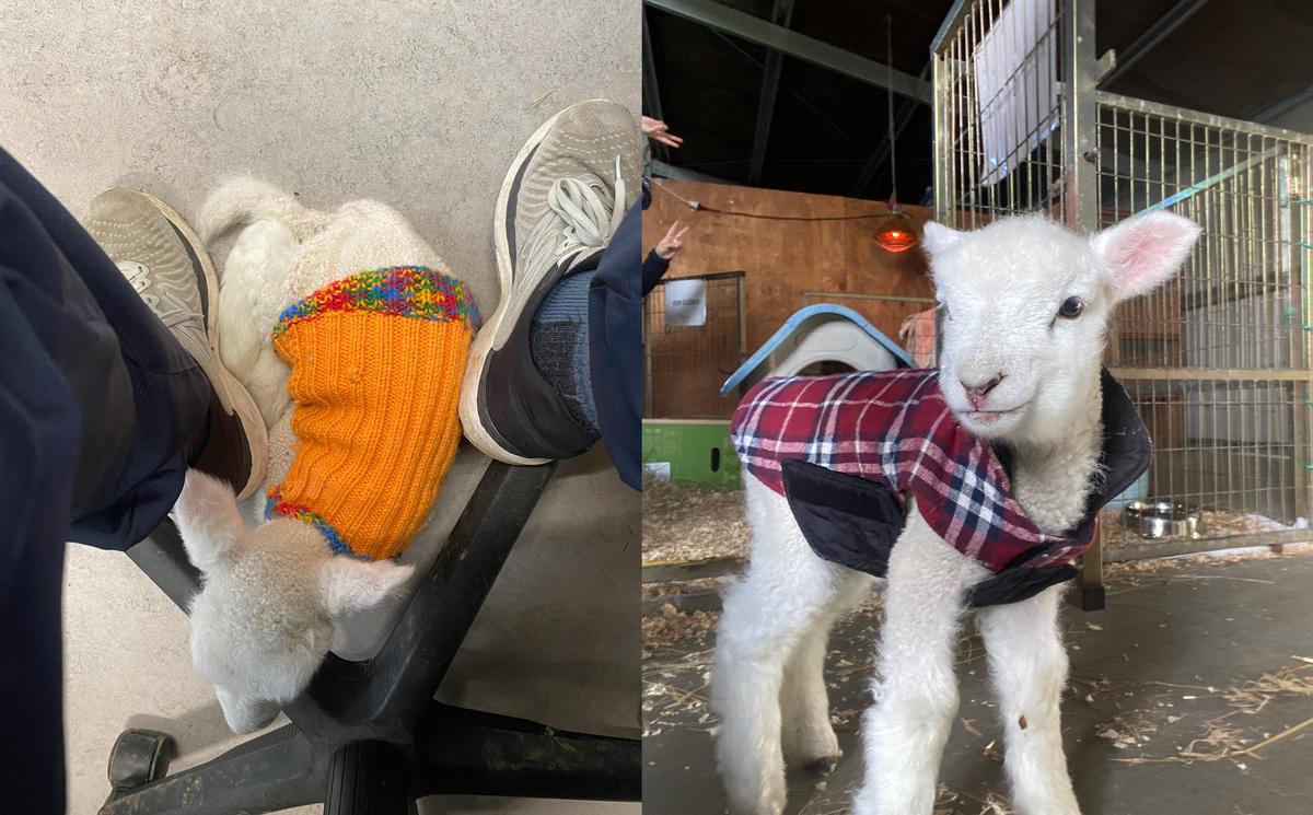 Meadow grew quickly – and in style! – with the help of Zoe and the Centre team.