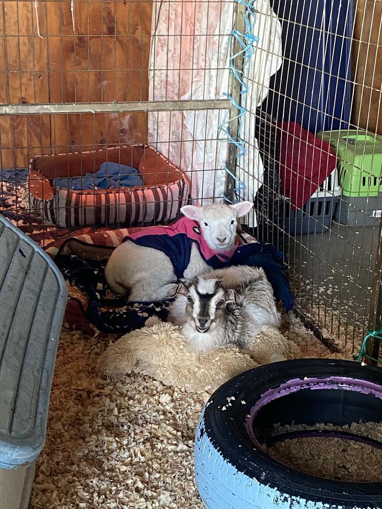 The pair were inseparable straight away.