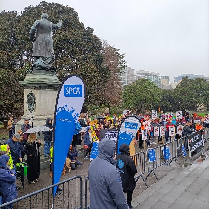 SPCA petition to protect the ban on live exports