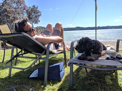 15 ideas for a barking brilliant day out