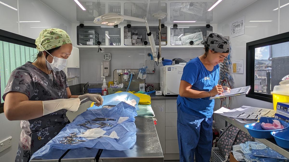 Ambitious targets exceeded in two-year desexing campaign 