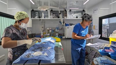 Ambitious targets exceeded in two-year desexing campaign 